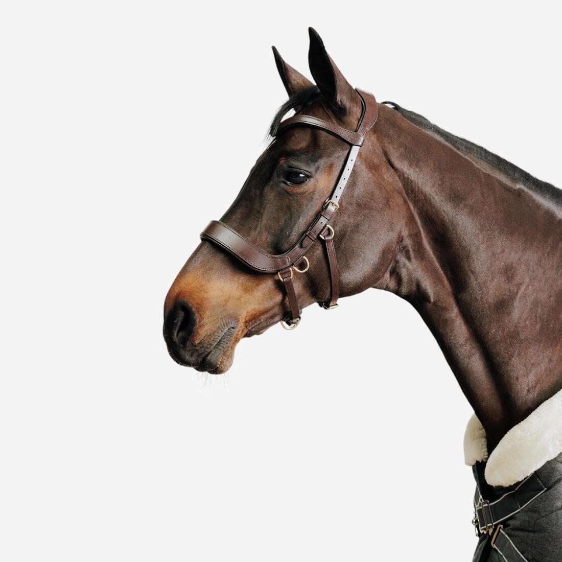Cabezada Sin Bocado Equitación Marrón Caballo/Poni