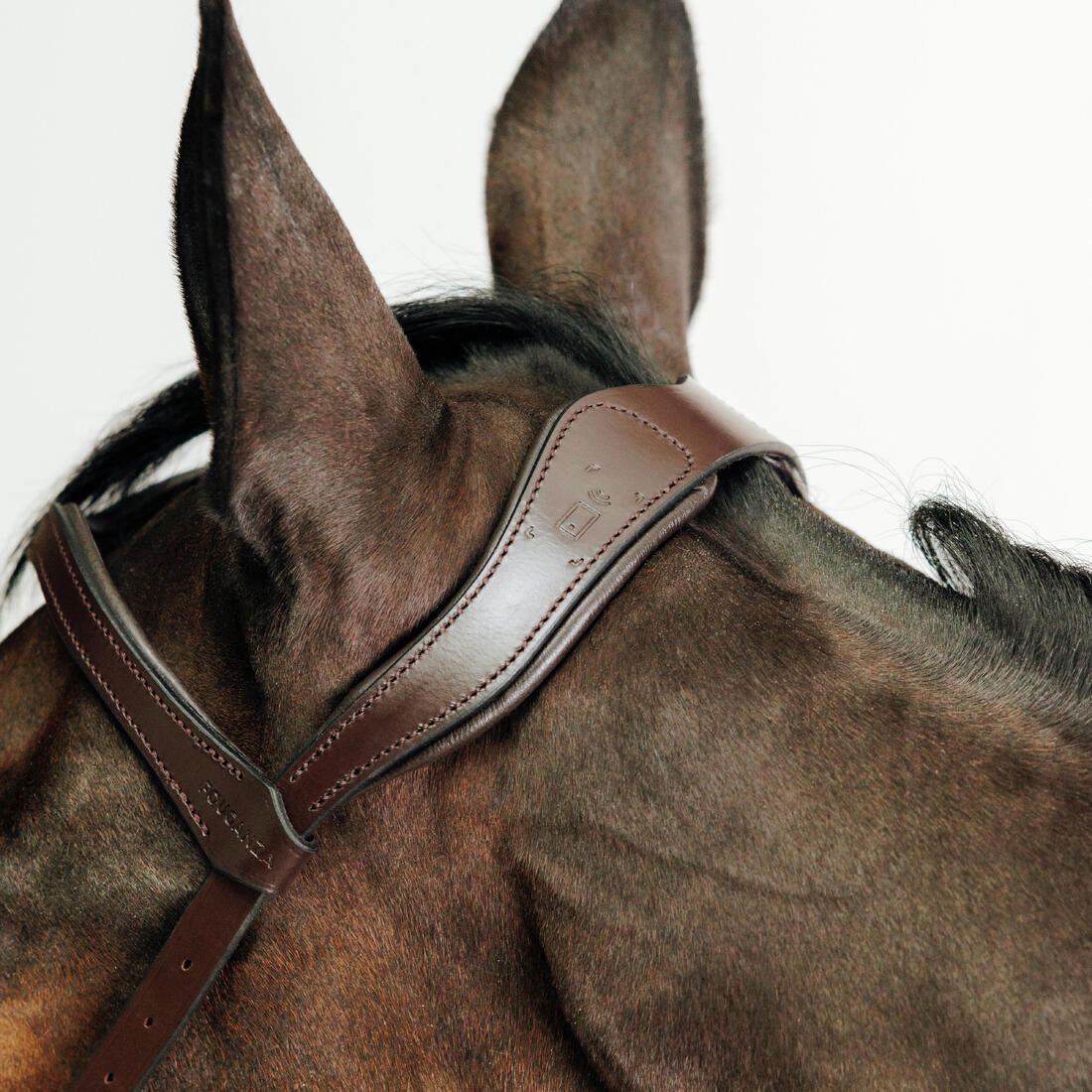 Cabezada Sin Bocado Equitación Marrón Caballo/Poni - Image 2