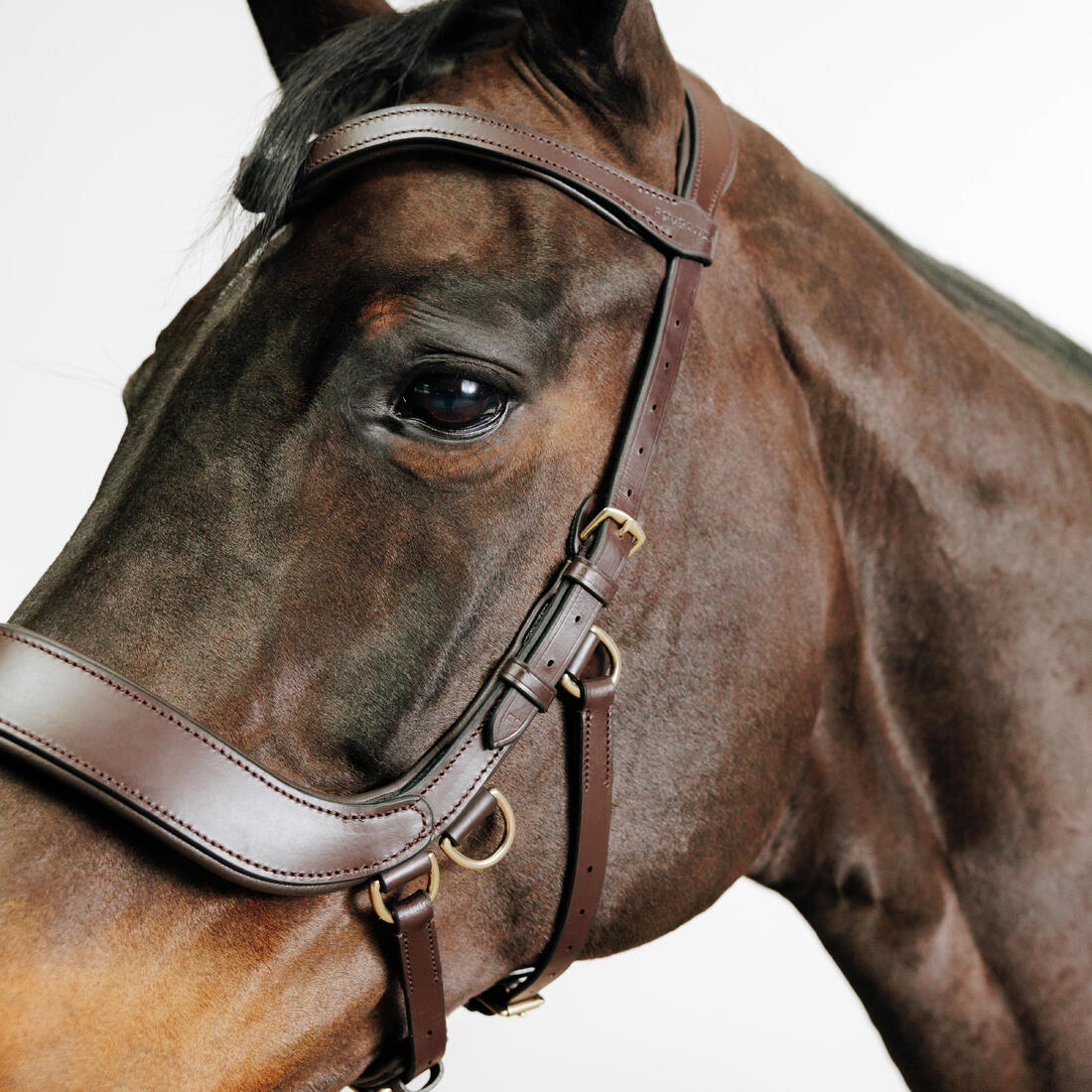 Cabezada Sin Bocado Equitación Marrón Caballo/Poni - Image 3