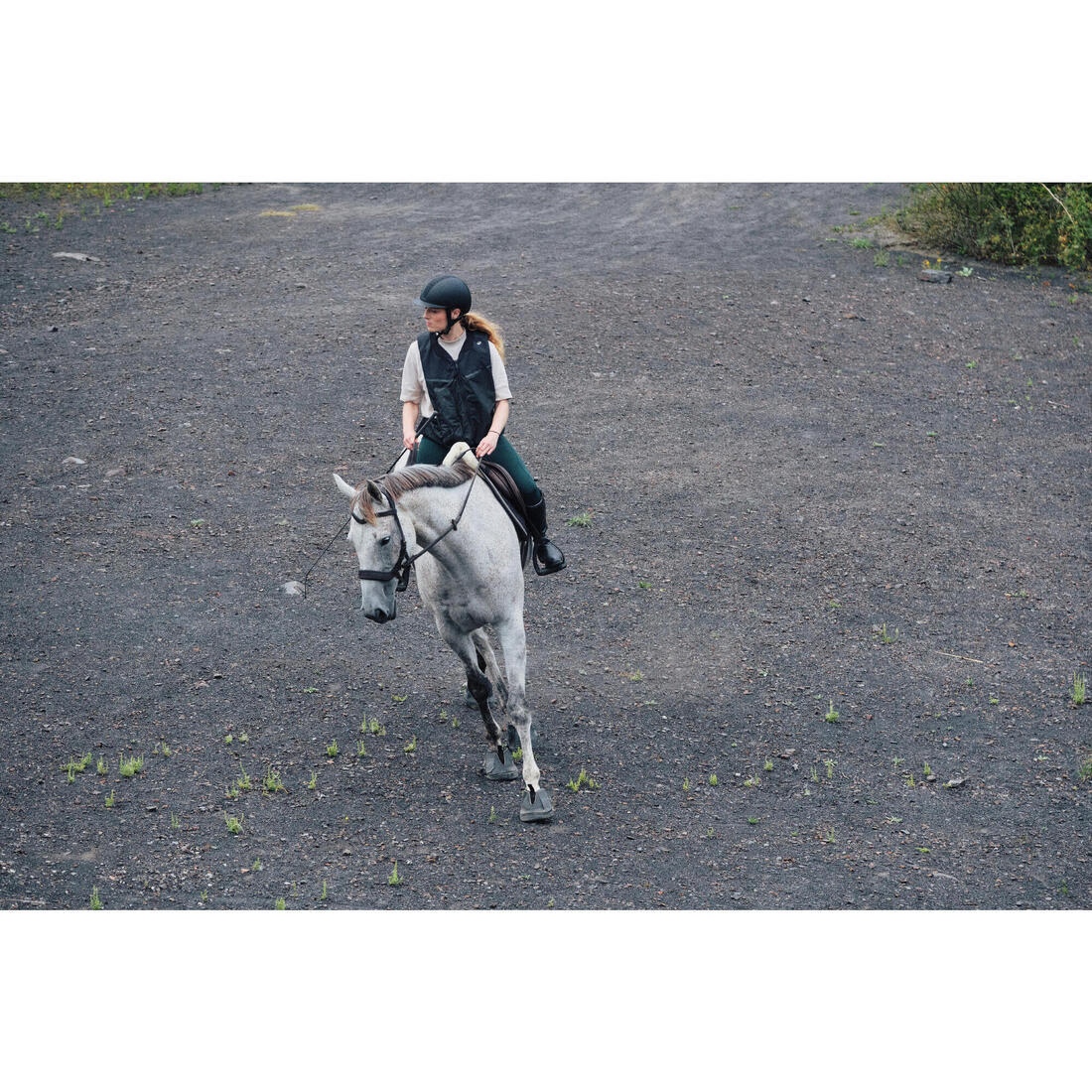 Cabezada Sin Bocado Equitación Marrón Caballo/Poni - Image 7