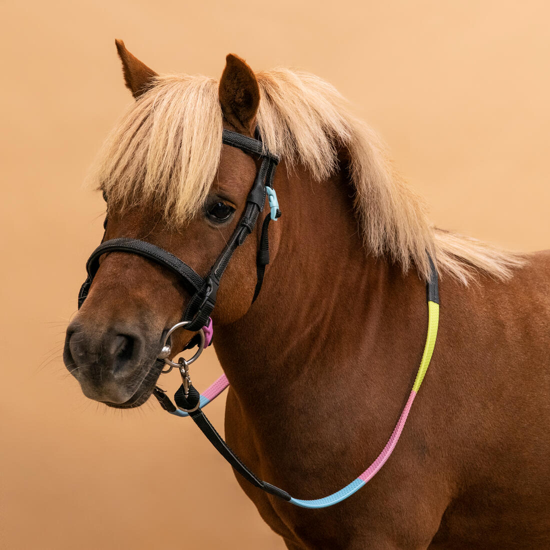 Cabezada y riendas equitación fouganza 100 poni negro - Image 2