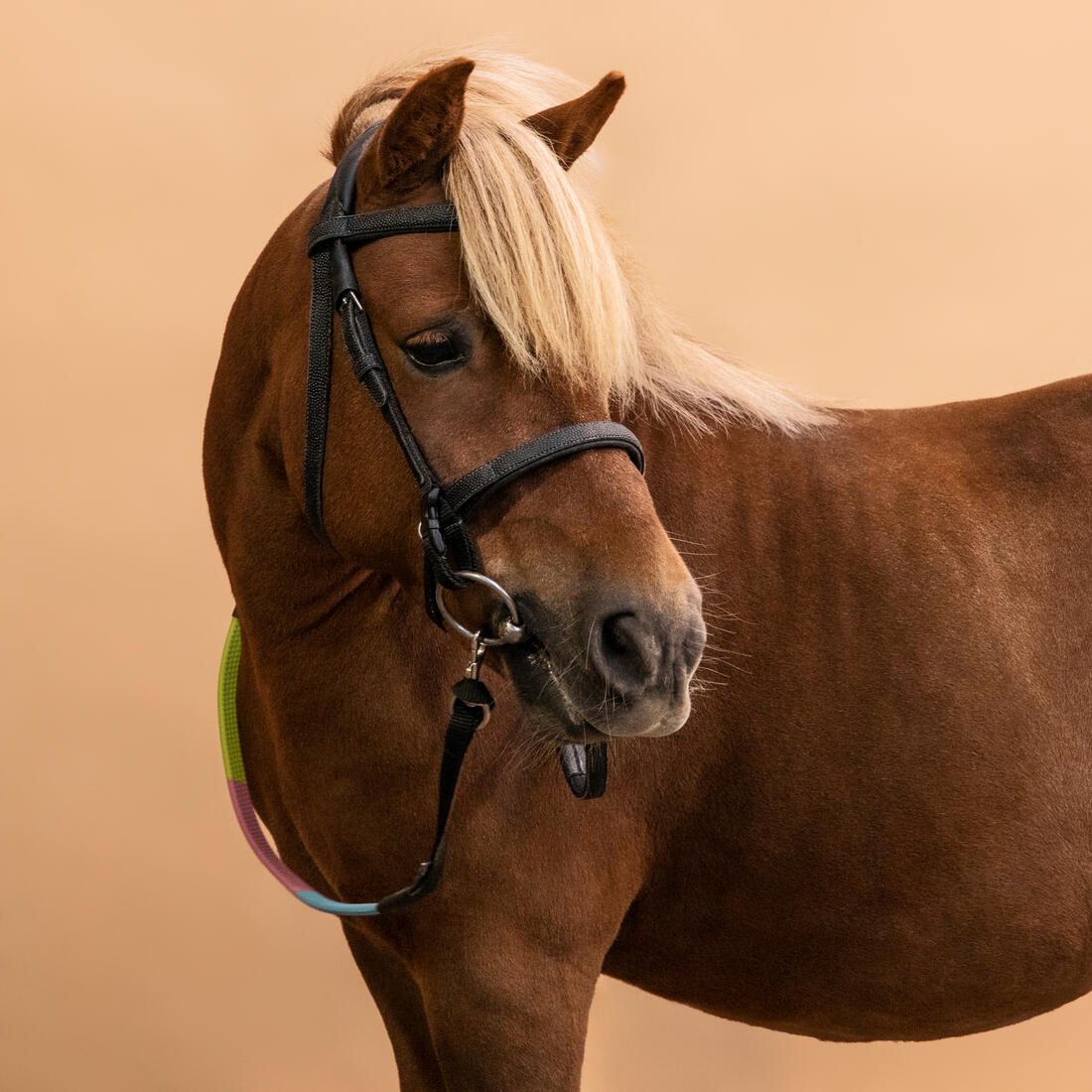 Cabezada y riendas equitación fouganza 100 poni negro - Image 3