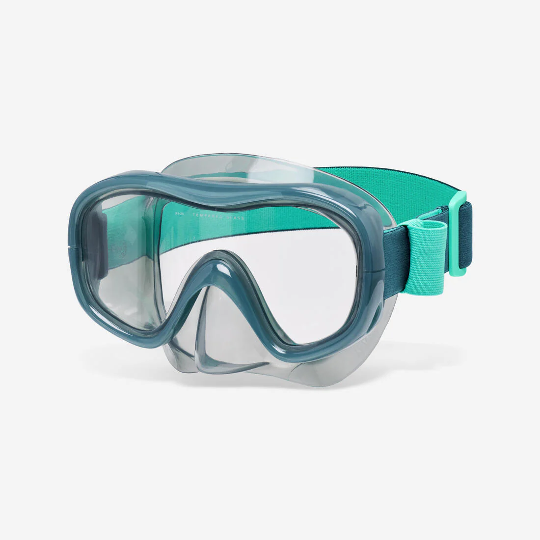 Gafas snorkel Adulto Monolente Comfort 100 Antivaho Gris