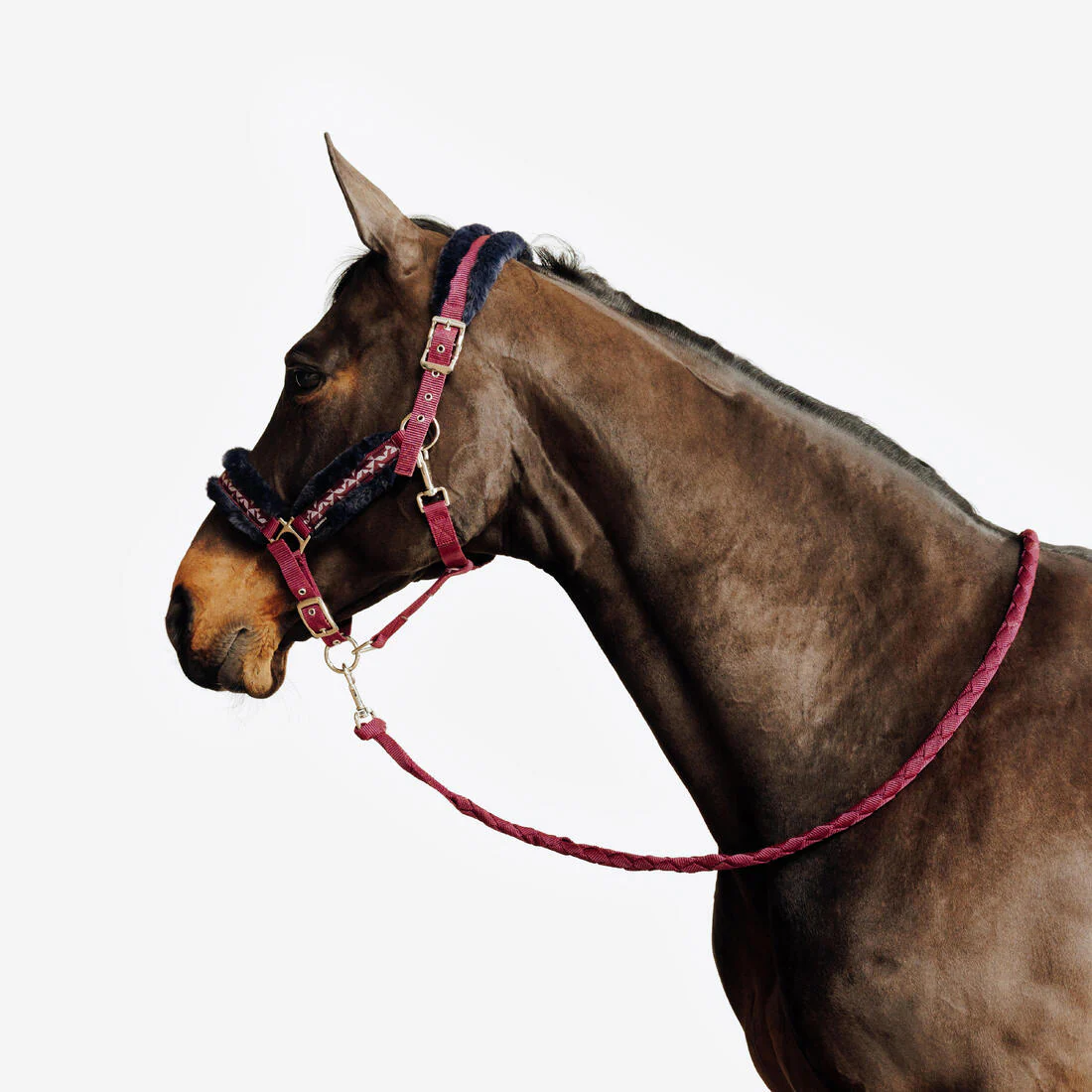 Kit Cabezada Cuadra + Ramal Equitación Caballo/Poni Terracota Azul Negro Confort