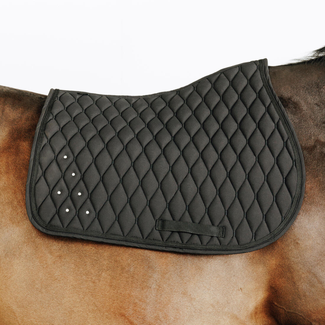 Mantilla Silla Equitación 500 Caballo Poni Negro Con Cristales Brillantes - Image 4
