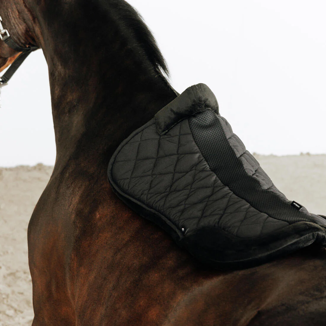 Salvacruces Equitación 500 Negro Borreguito Sintético Caballo/Poni - Image 2
